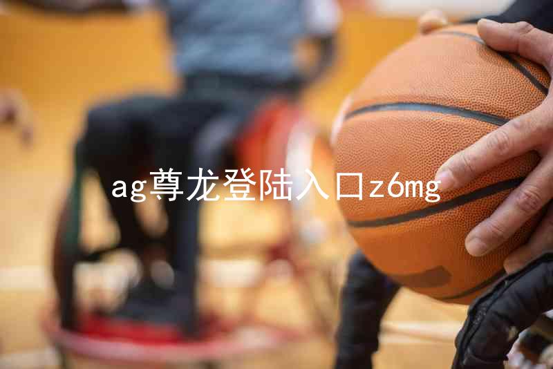 ag尊龙登陆入口z6mg